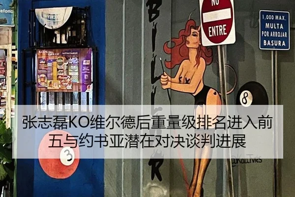 张志磊KO维尔德后重量级排名进入前五与约书亚潜在对决谈判进展