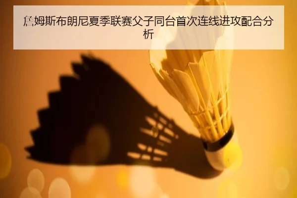 詹姆斯布朗尼夏季联赛父子同台首次连线进攻配合分析